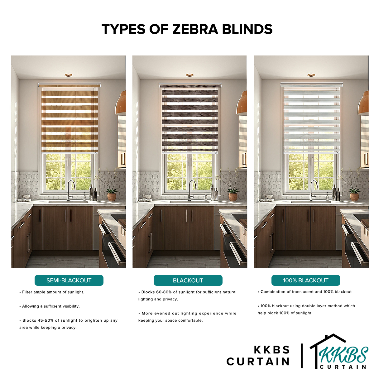 Ricardo Semi Blackout Zebra Blinds Custom Made