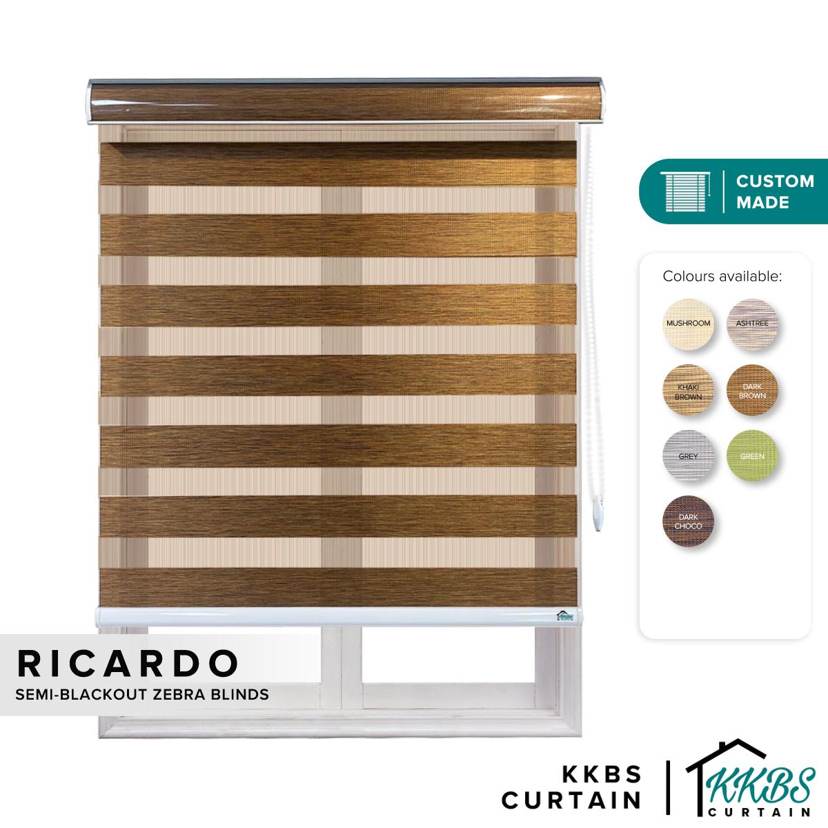 Ricardo Semi Blackout Zebra Blinds Custom Made